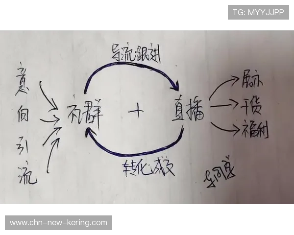 篮球联赛社群运营形成良性闭环增长,篮球社比赛宣传文案 篮球联赛社群运营形成良性闭环增长,篮球社比赛宣传文案